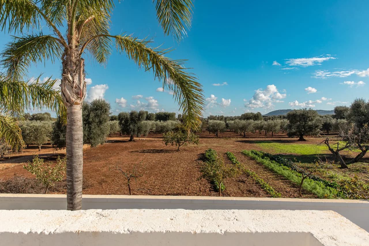 Spectacular 6BR Villa With Orange Sunset Views photo 4