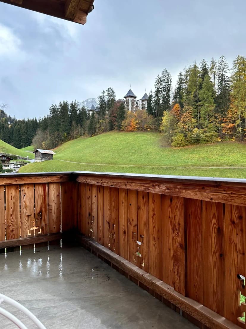 Brand New Super Chalet With Spa and Gym in Gstaad