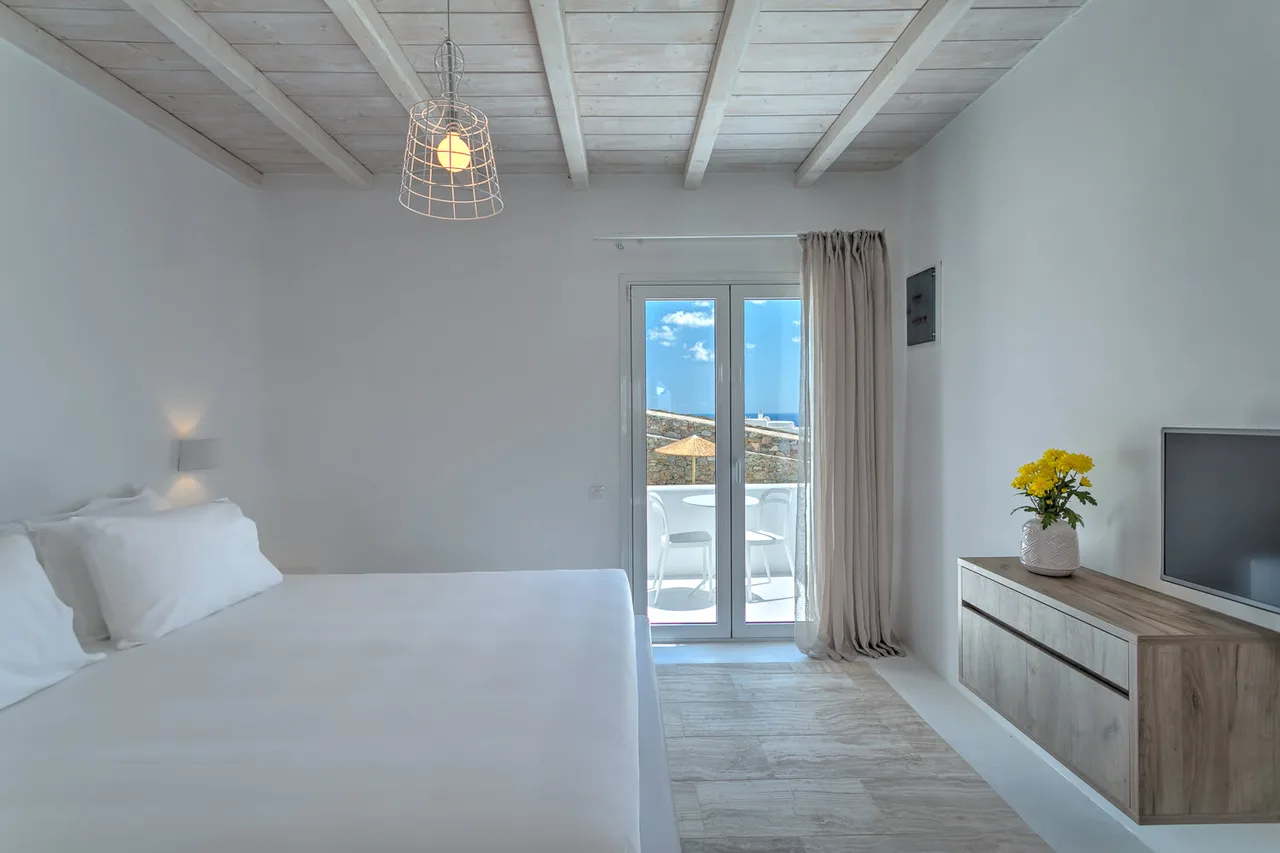Tranquil Suite with Pool in Elia photo 4