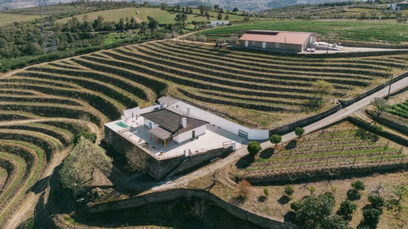 Stunning Villa in Douro Overlooking Vineyards