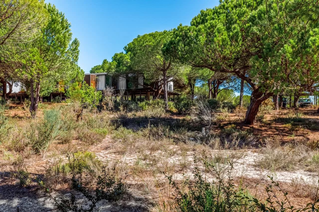 Villa Harmonia photo 5