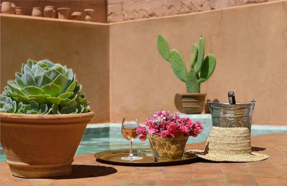 Charming Riad with Pool in Marrakech photo 5