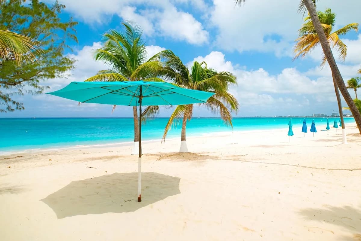 Oceanview Beachfront Three Bedroom Condo in Cayman photo 3