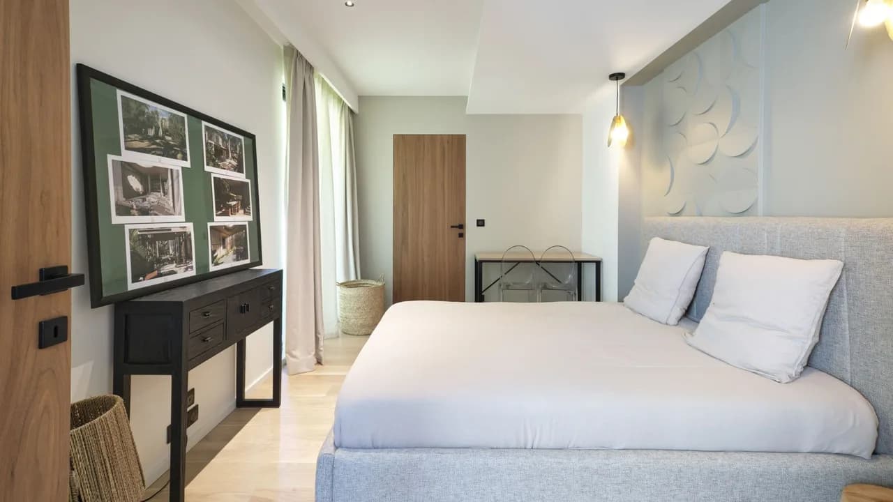 Cannes Luxury With Outdoor Paradise photo 3