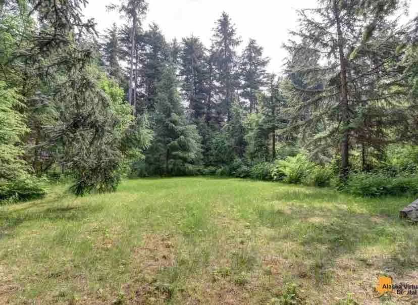 Scenic Mountain Four Bedroom Villa in Anchorage photo 4