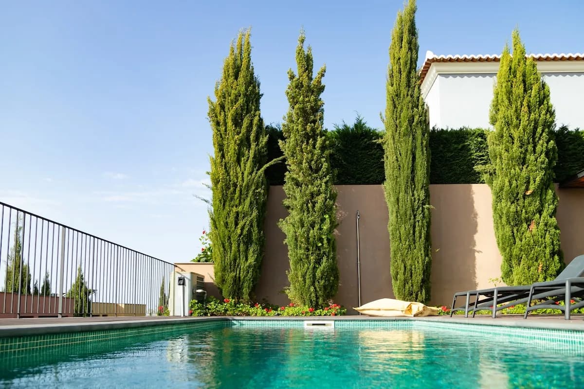 Private Pool Villa with Ocean Views in Madeira photo 4