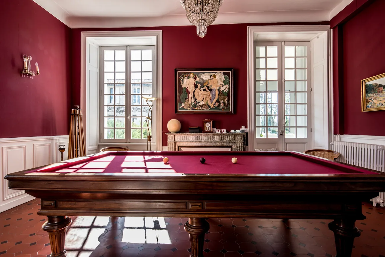 Authentic Bordeaux Vineyard Stay photo 4