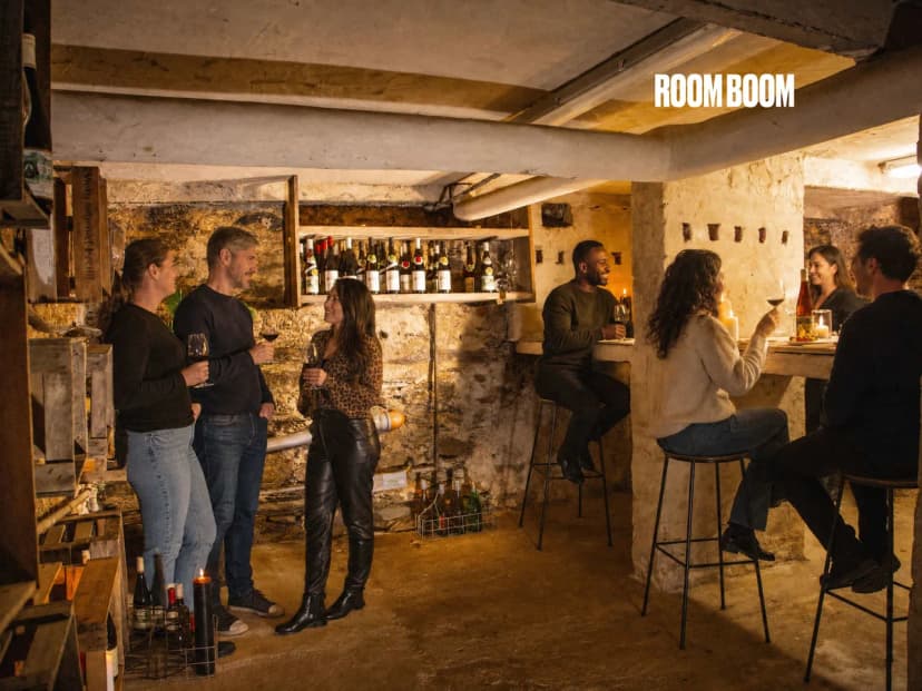 Game-Room Vineyard Estate in Rhine Valley
