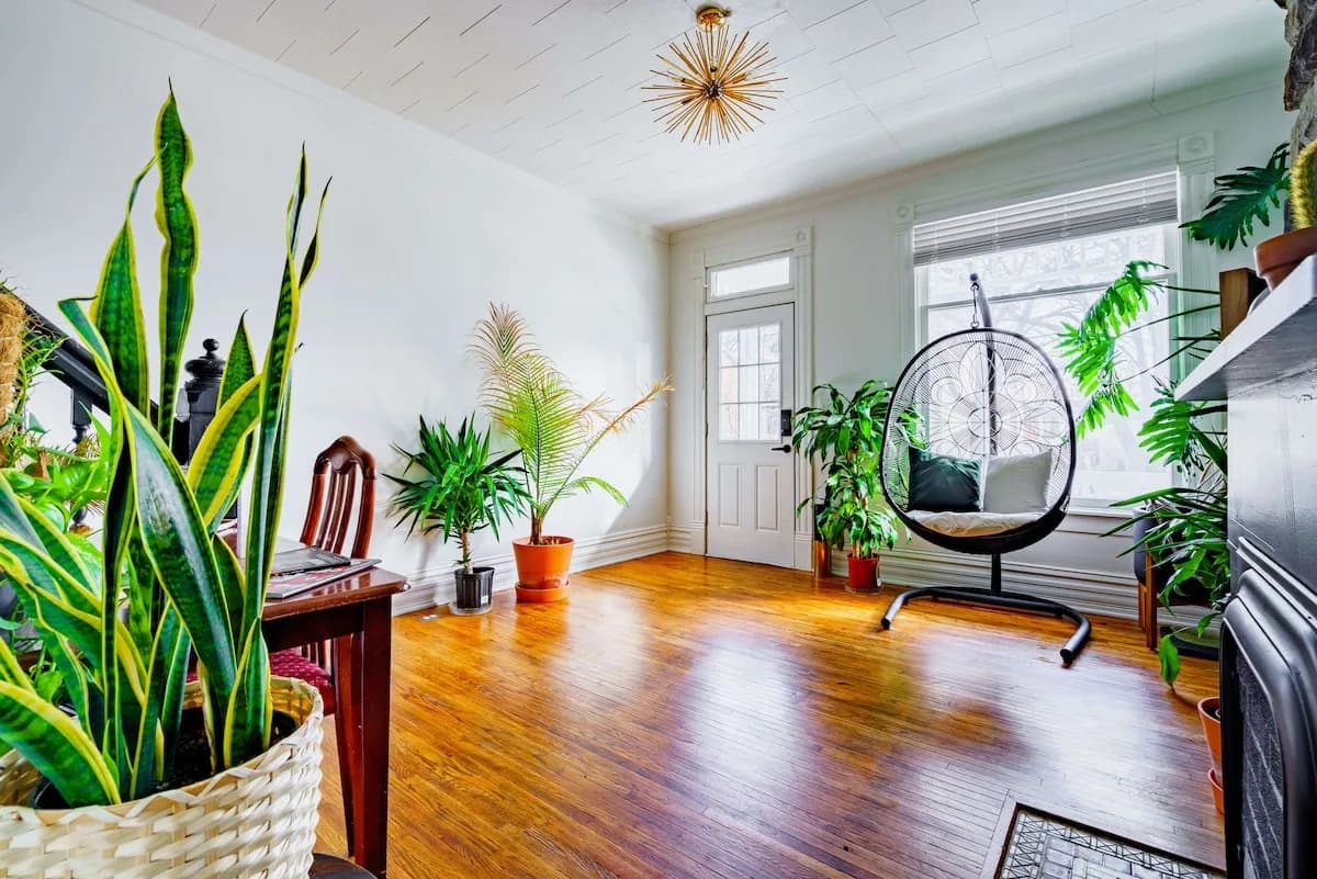 🌿 Welcome to the Jungle by Jungle House | Near Convention Center, OSU & Nationwide Arena | 5,800+ Reviews | Downtown & Short North | Walk to High Street | Free Parking photo 4