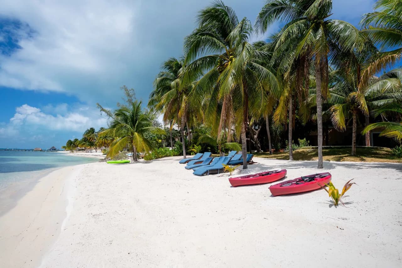 Villa Angela | 4BR | Beachfront & Private Pool photo 4
