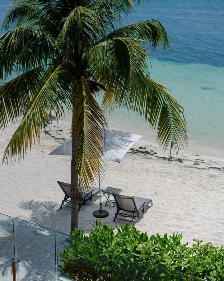 Villa Langosta | 6BR | Luxury Beachfront Stay  photo 4