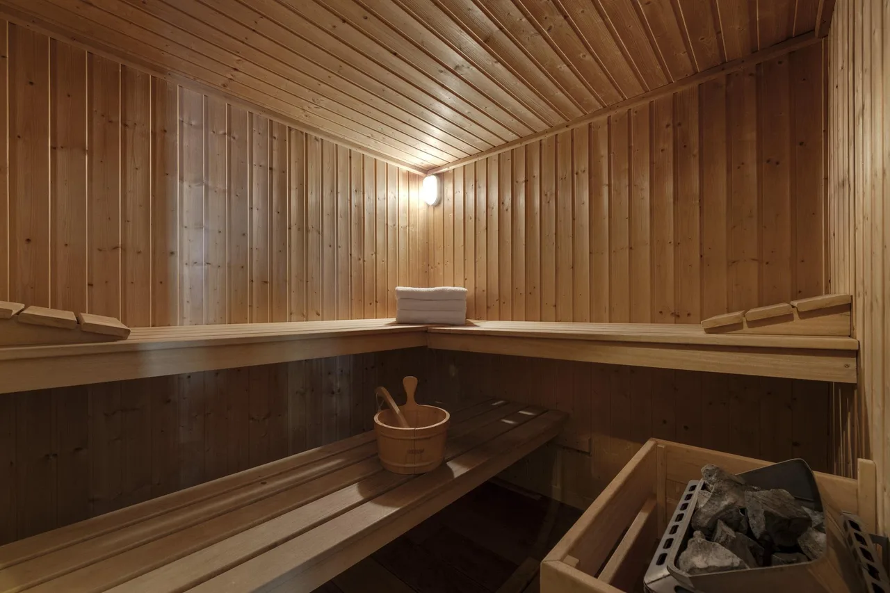 Central Chalet With Sauna and Views photo 3