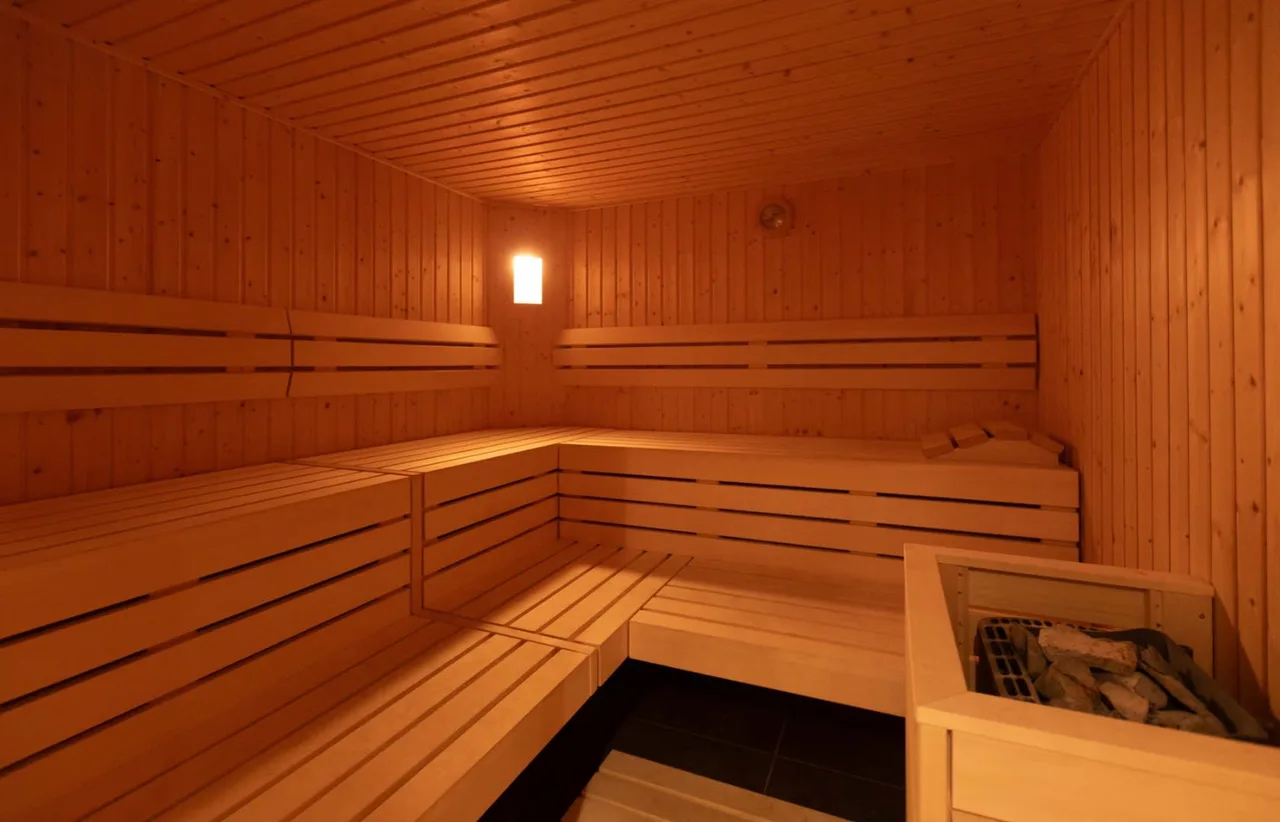 Elegant Retreat In Villars Alps photo 4