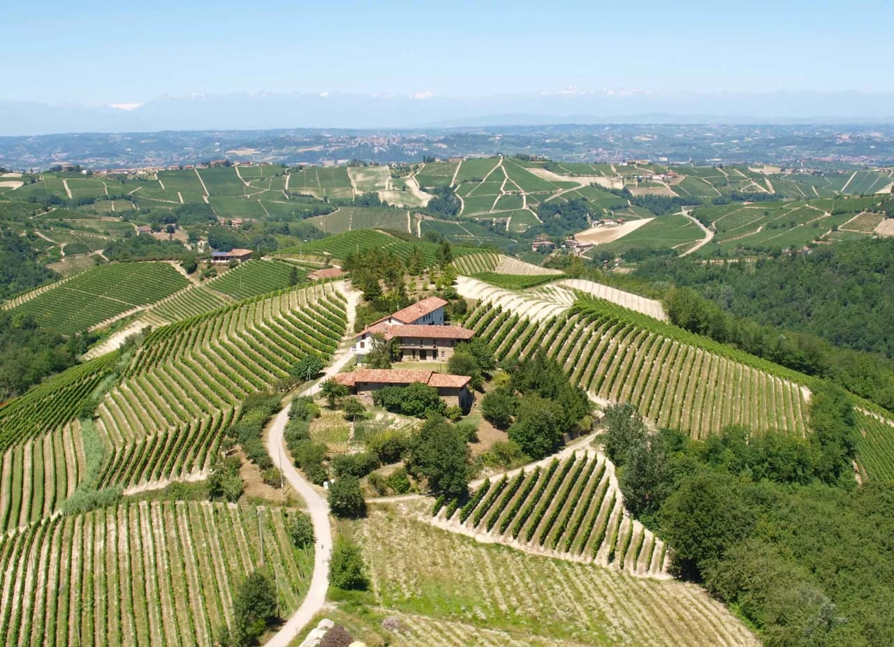 Private Estate Among Vineyards in Trezzo Tinella