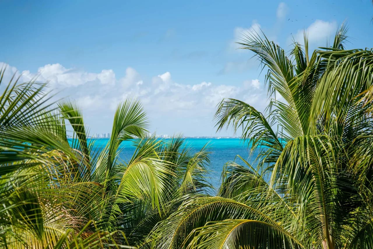 Caribbean Vibes | 4BR | Beachfront, Pool & Relax photo 3