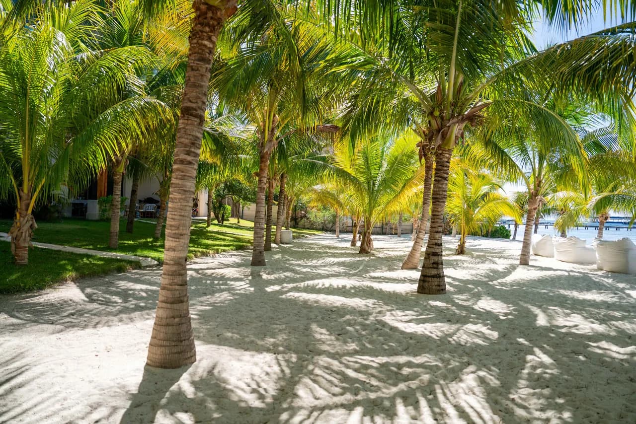 Caribbean Vibes | 4BR | Beachfront, Pool & Relax photo 4