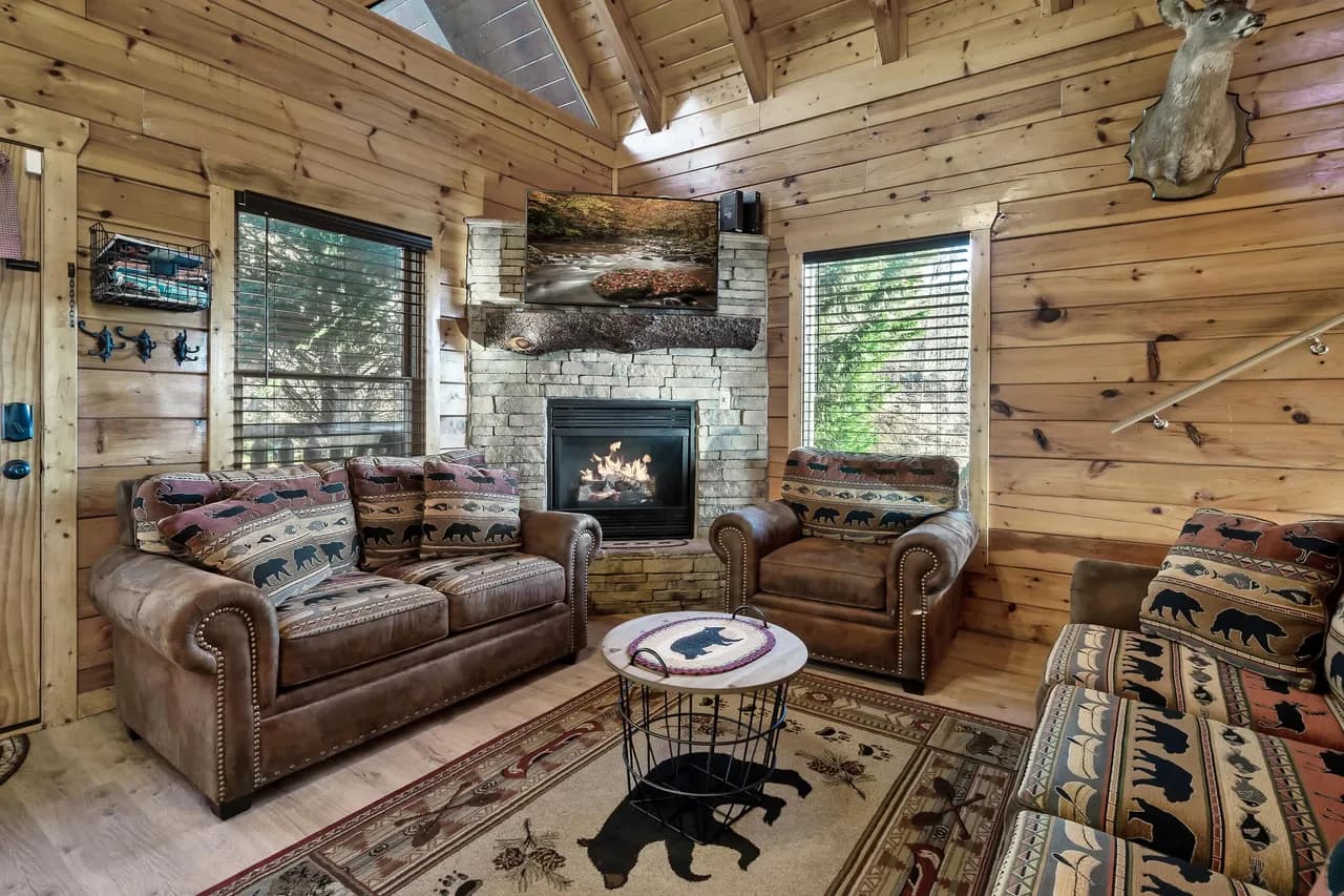 Sweeping Mountain View Villa in Smoky Mountains photo 5