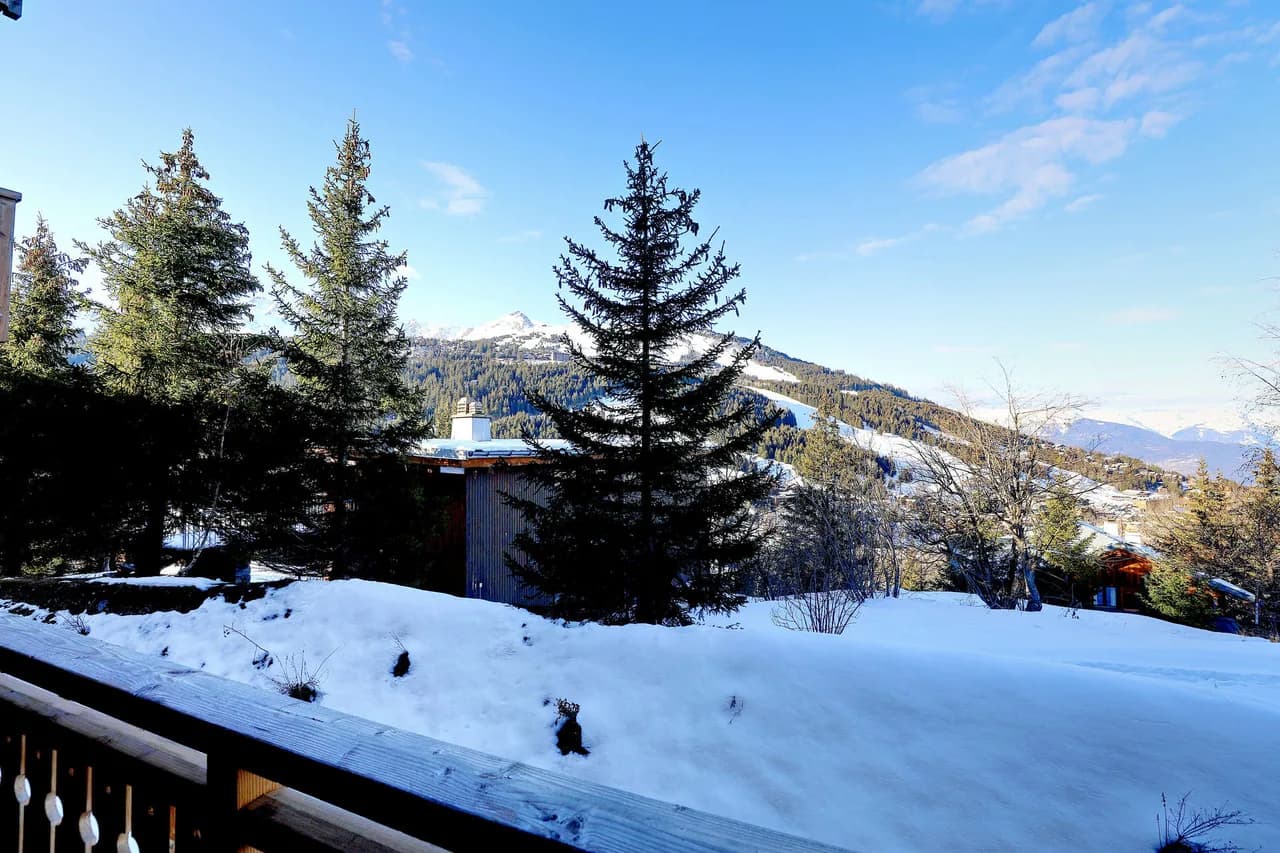 Elegant Duplex Living in Alpine Resort photo 3
