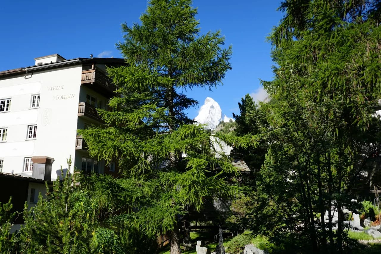 Classic Zermatt Studio in Village Center photo 2