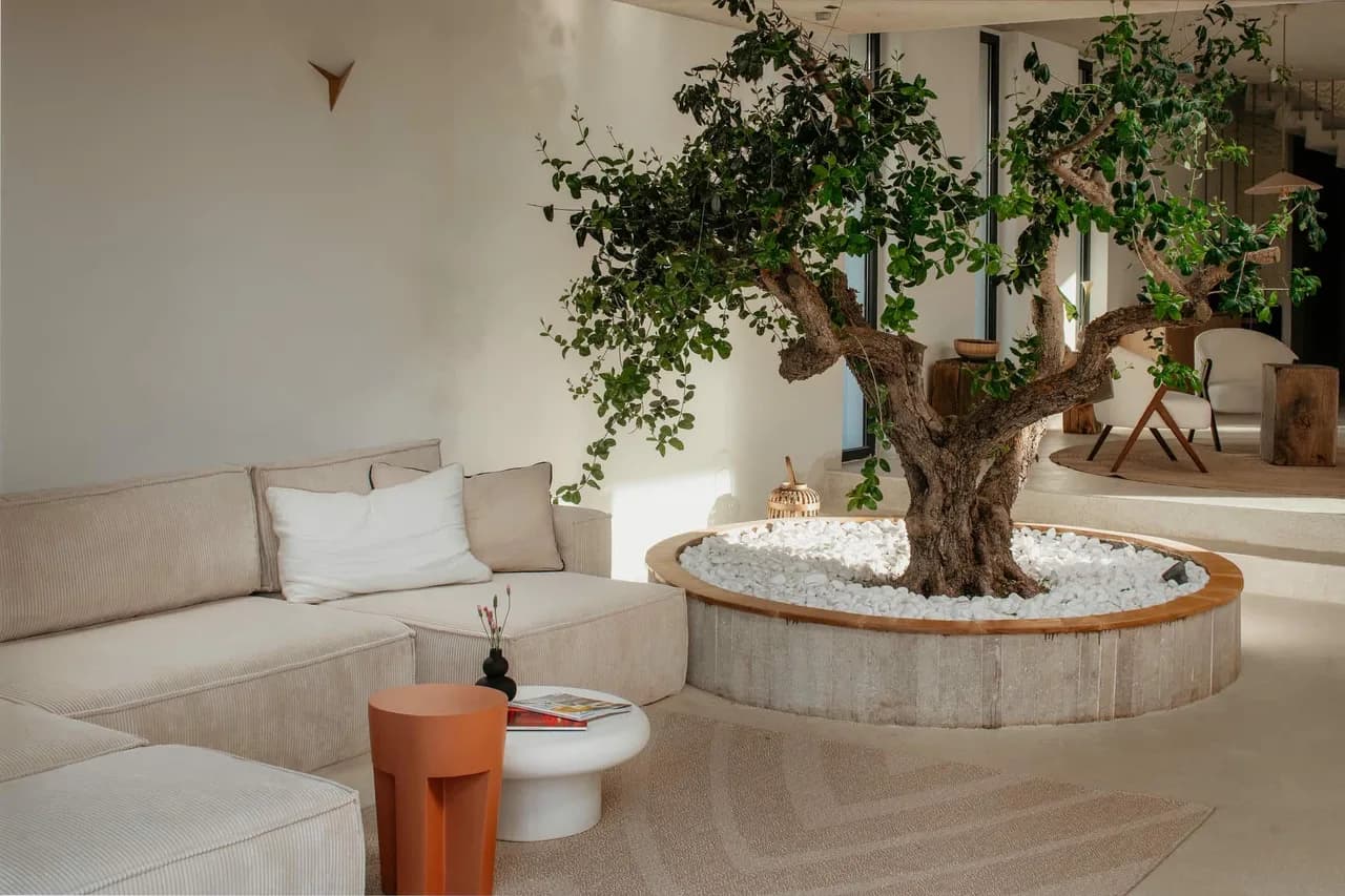 Mediterranean Hideaway In Olive Grove photo 3