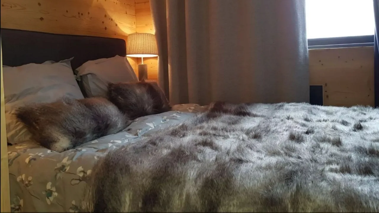 Central Ski Apartment for Families photo 3