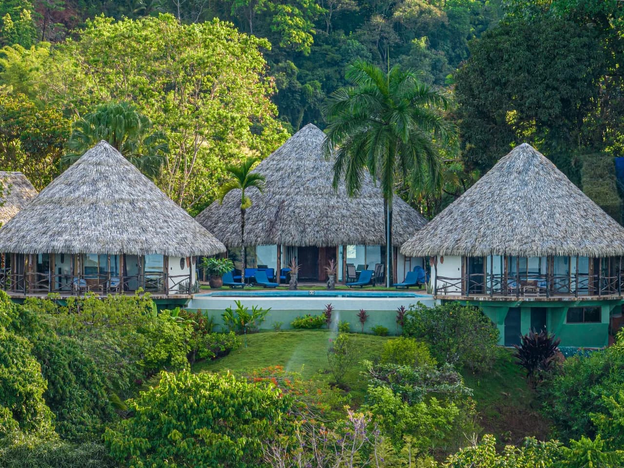 Jungle Ocean View Escape With Infinity photo 5