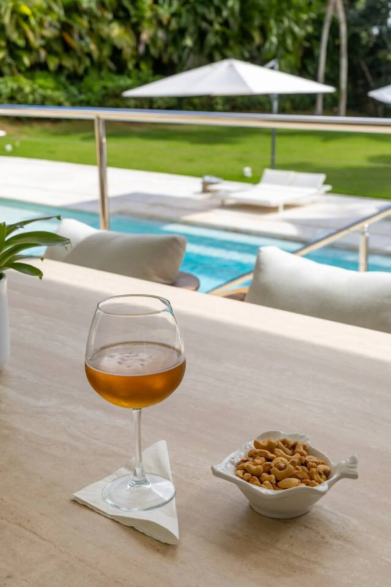 Family Villa | Jacuzzi & Pool | Casa de Campo photo 5