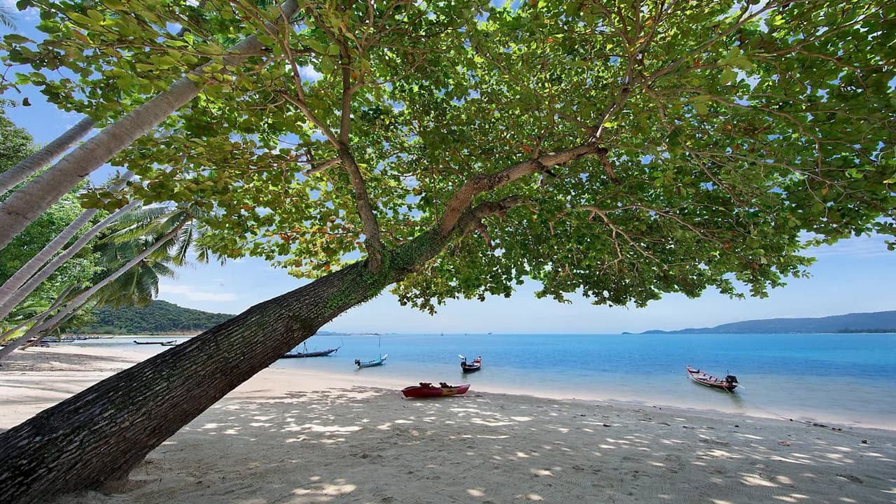 Tropical Garden Villa in Tong Yang Thailand photo 4