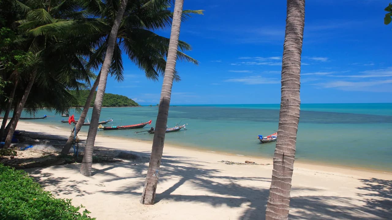 Tropical Garden Villa in Tong Yang Thailand photo 5