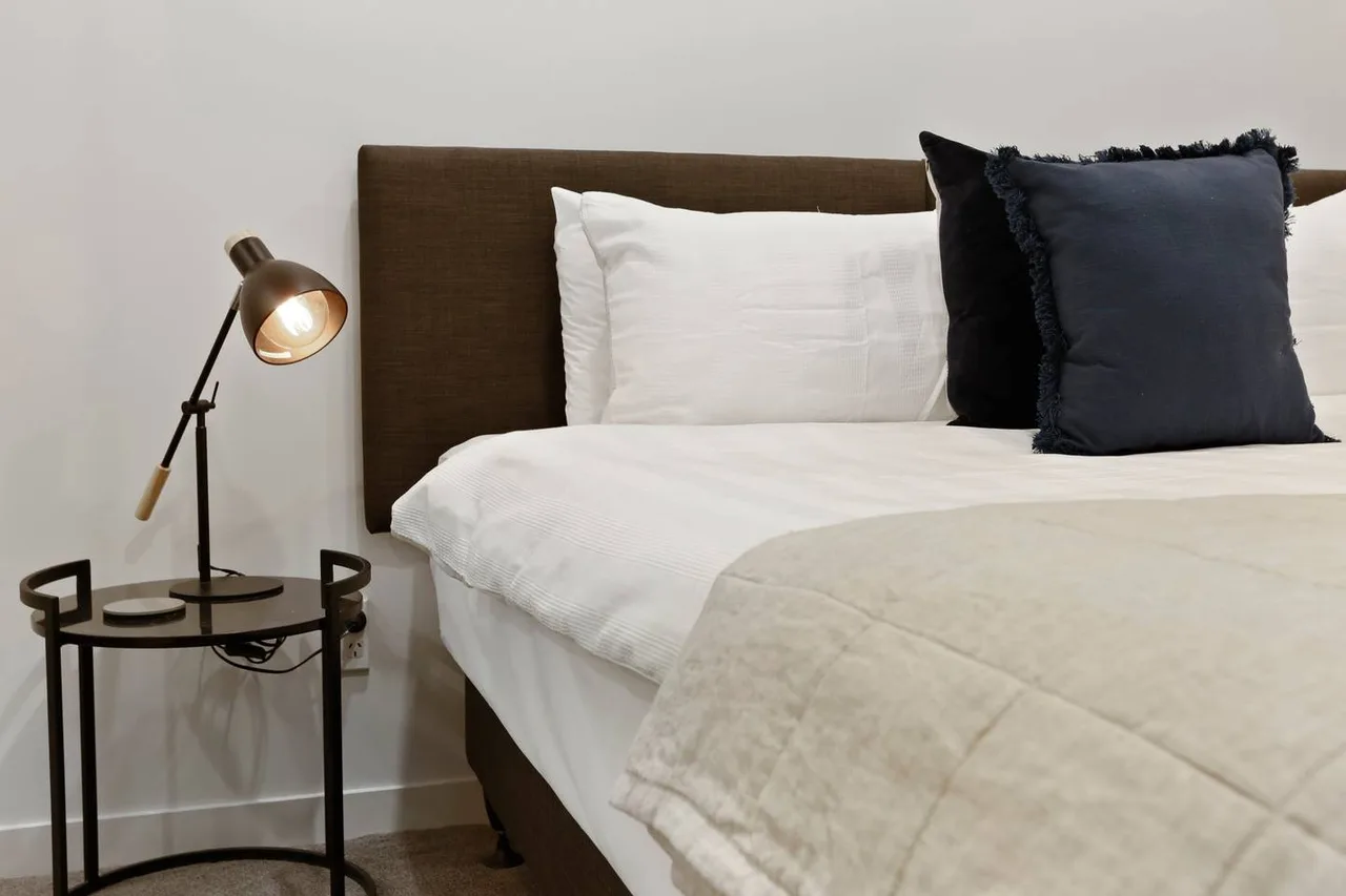 Modern Two Bedroom Apartment in Auckland photo 5
