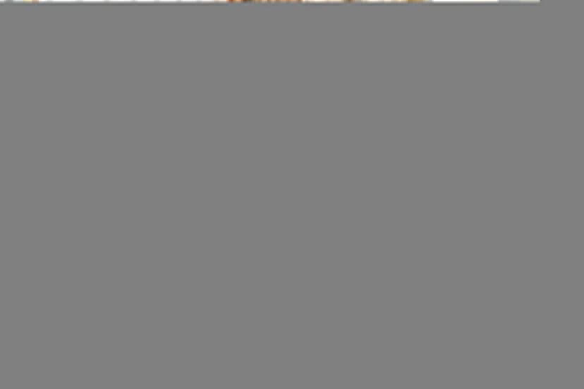 Cattolica Sea Loft