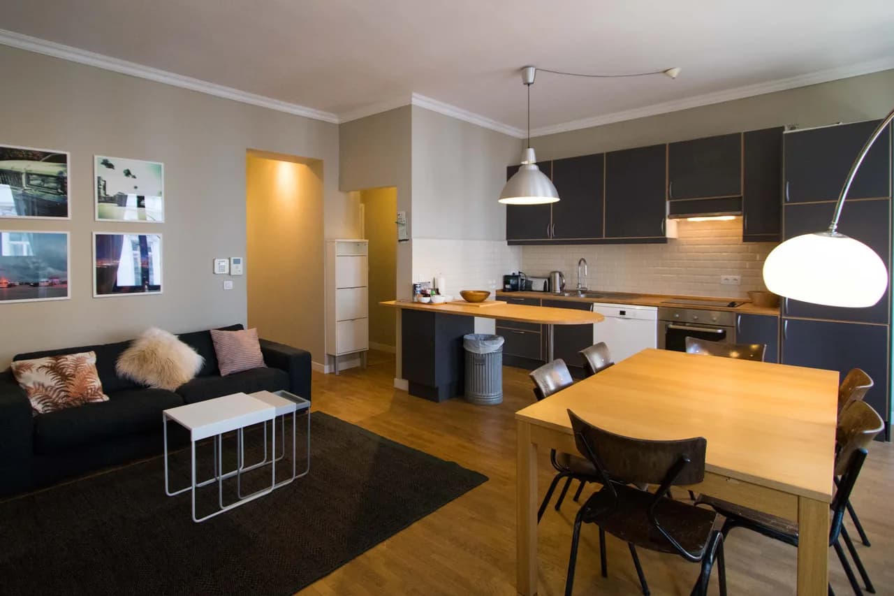 Terrace One Bedroom Apartment in Brussels