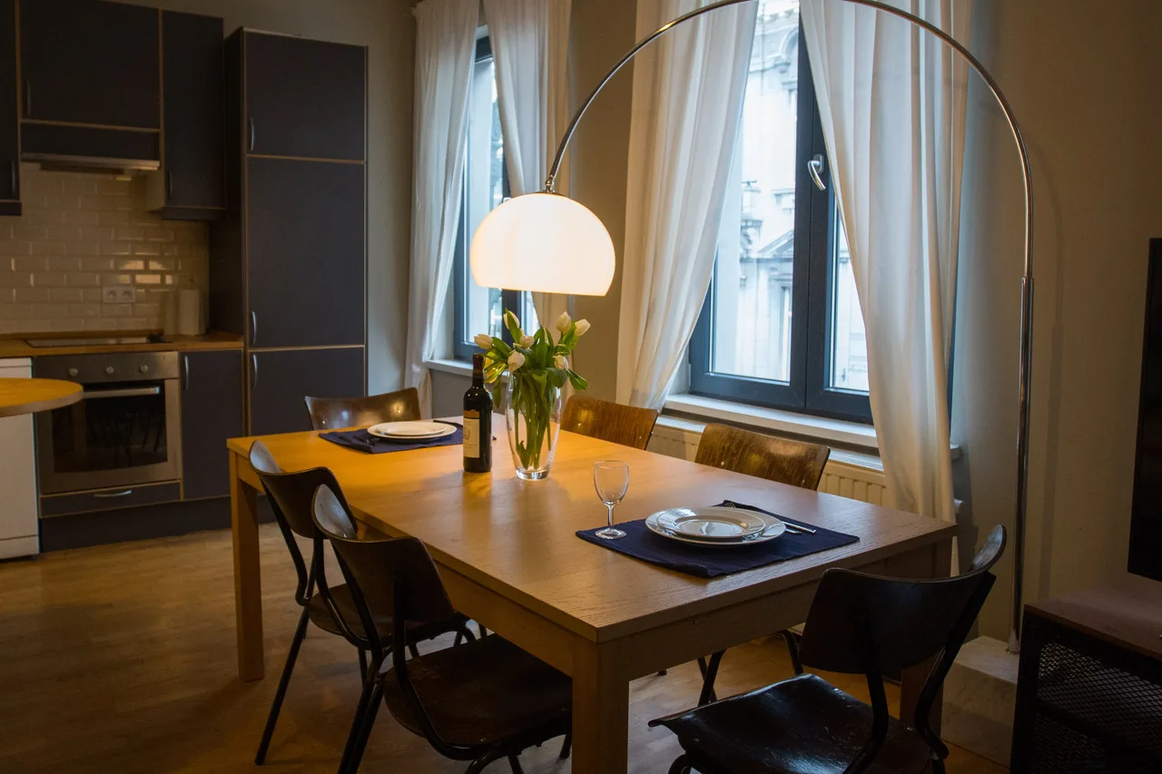 Terrace One Bedroom Apartment in Brussels photo 4