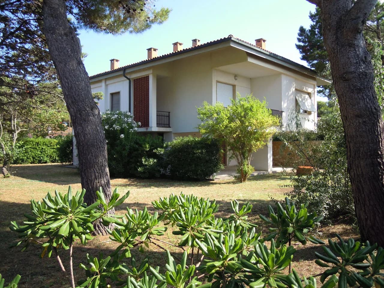 Terreced Seaside Villa in Giannella, Tuscany, Italy photo 5