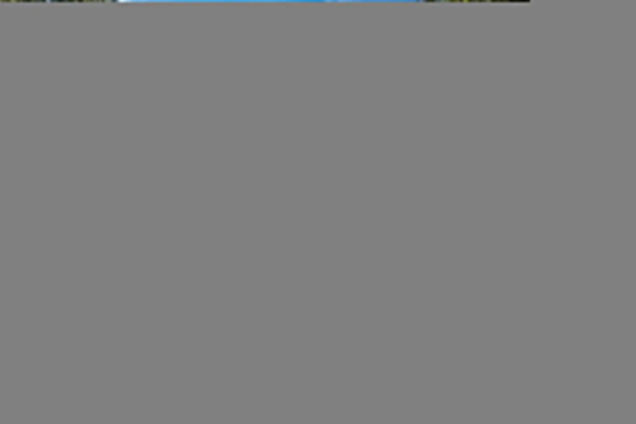 Villa Linchiano - Villa Linchiano 14 photo 4