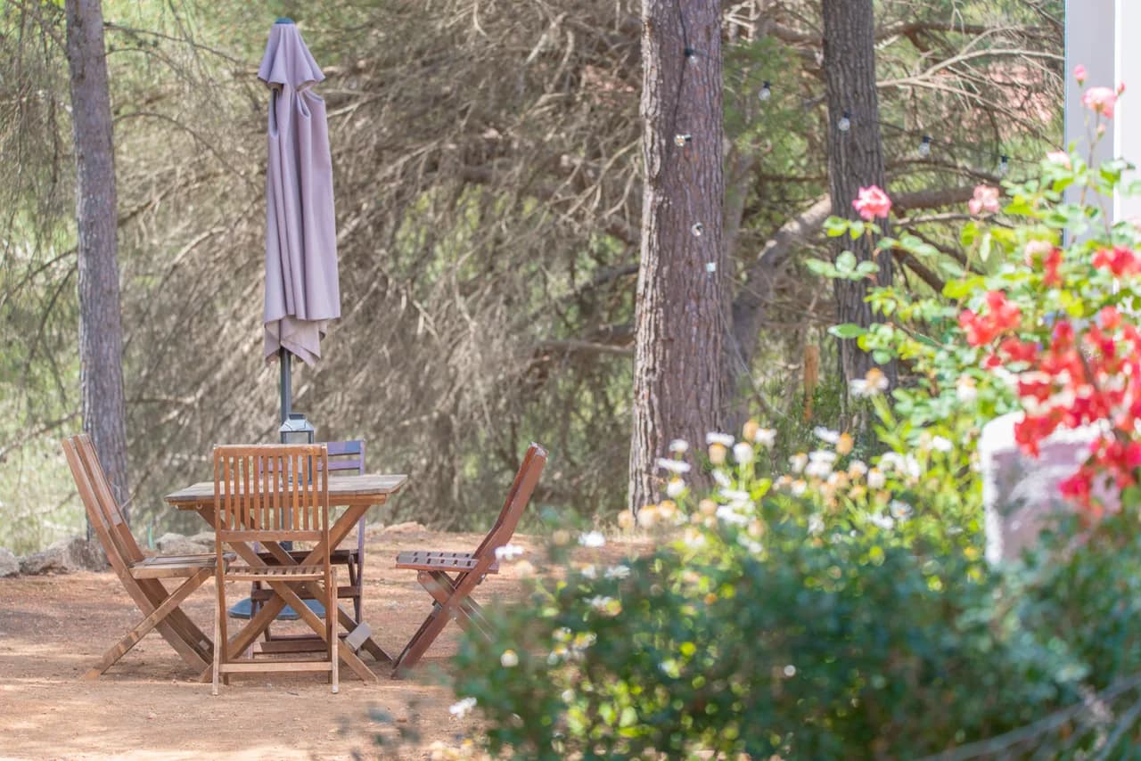 Rural Retreat with Terrace in Santa Gertrudis de Fruitera photo 4