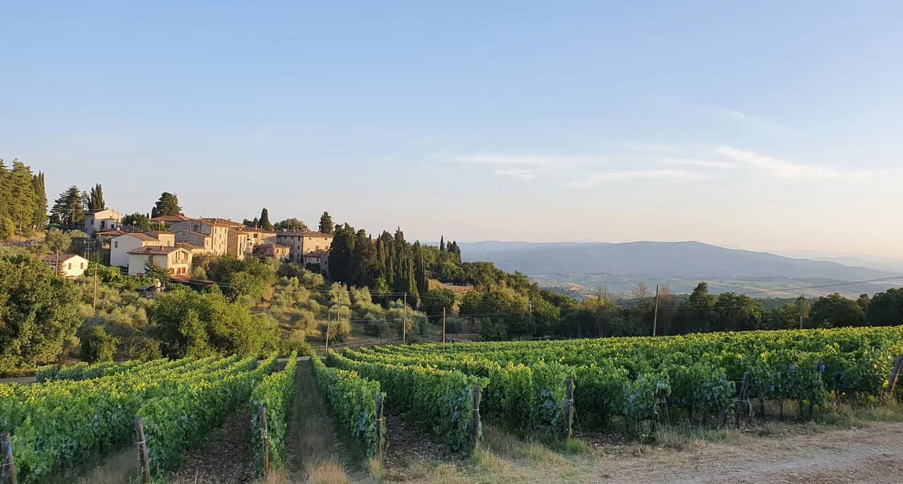 Charming Two Bedroom Apartment in Fonterutoli Siena photo 4