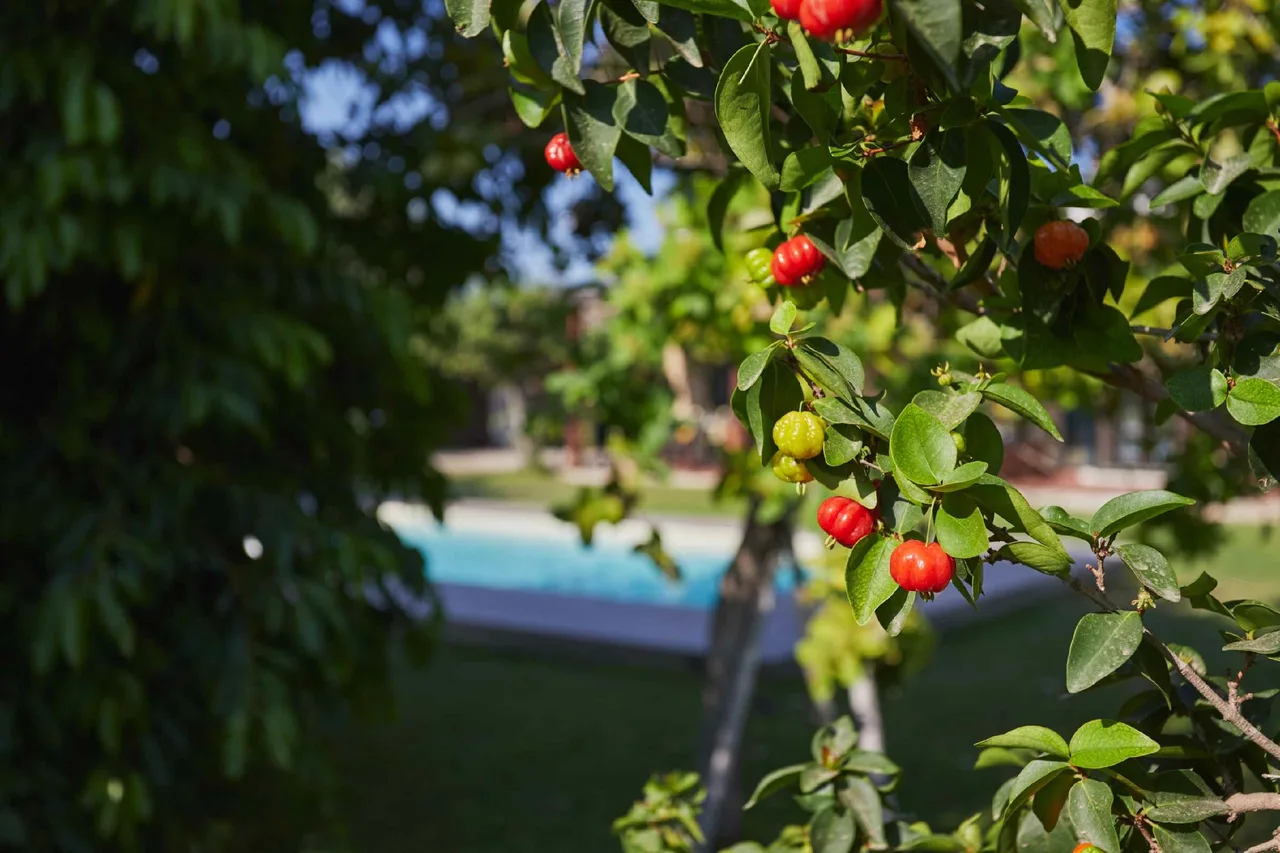 Eco-Friendly Villa with Pool in Lido di Noto photo 3