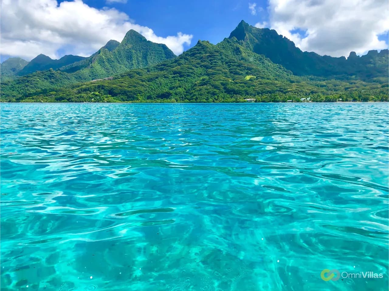 Beachfront Bungalow with Sunset Views in Moorea photo 2