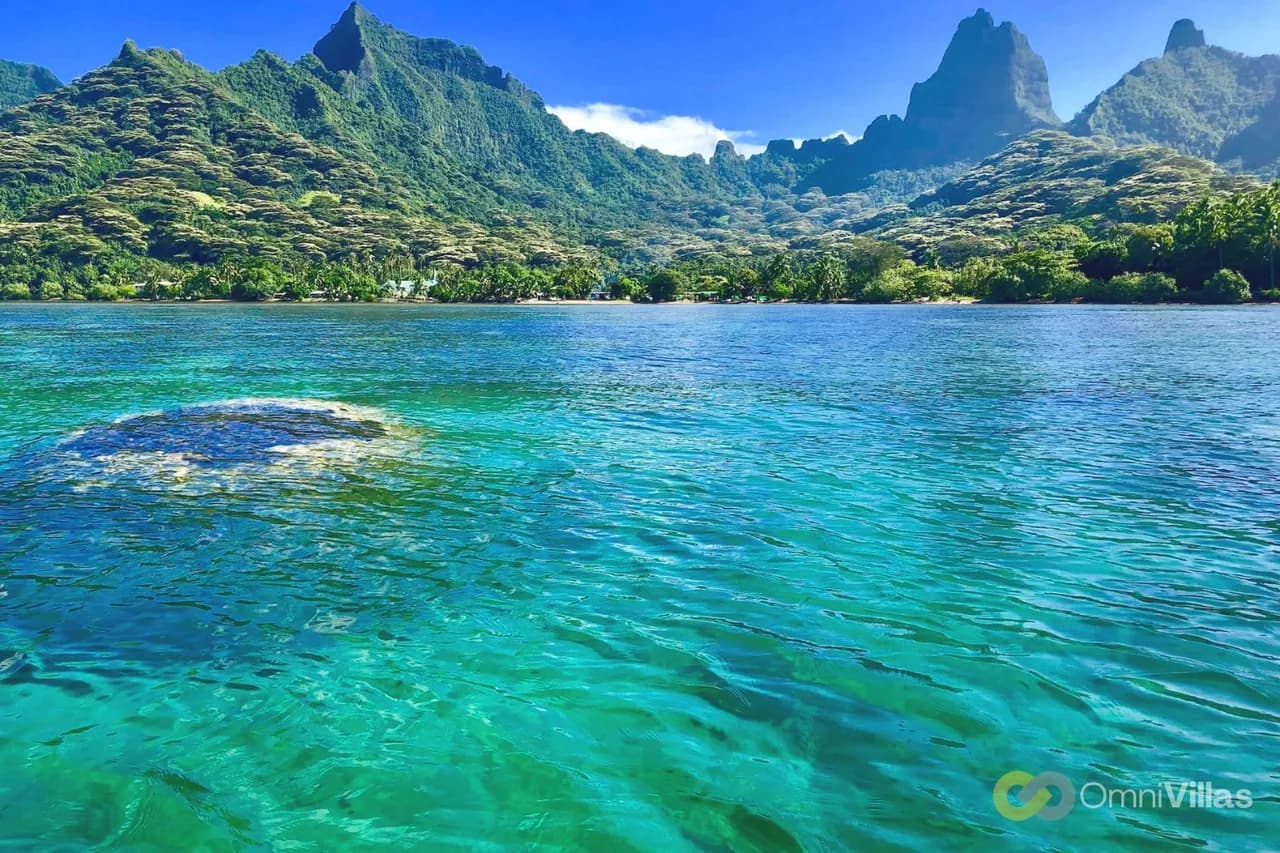 Beachfront Jacuzzi Bungalow in Haapiti Moorea photo 3