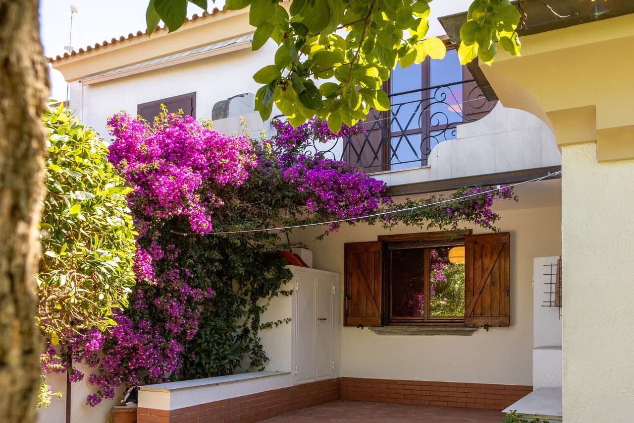 Villa Bellamare photo 3