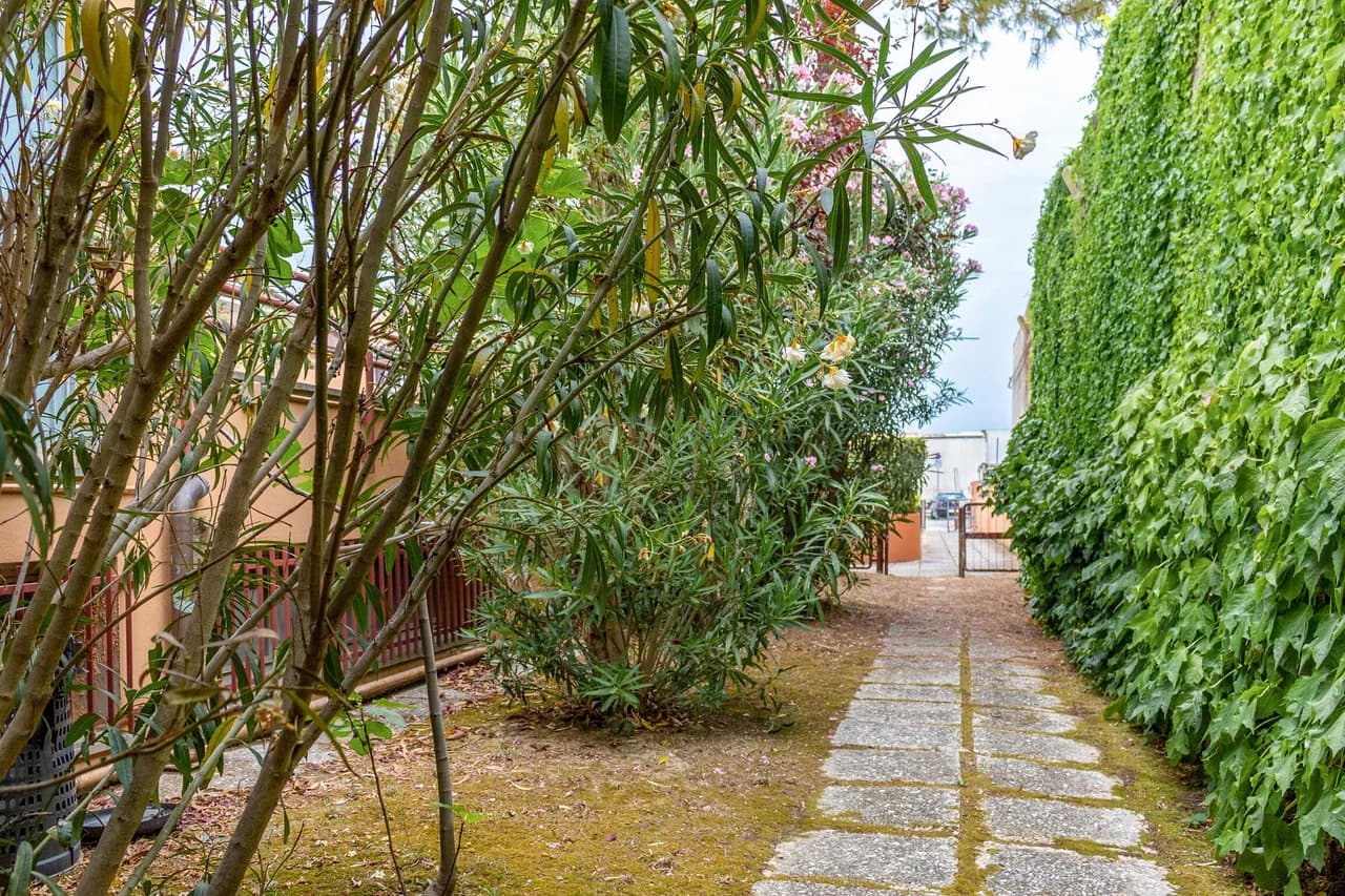 Balcony One Bedroom Apartment in Fano Marche Italy photo 4