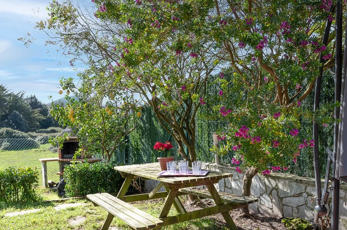 Seaside Garden Villa in Argonos, Spain photo 2