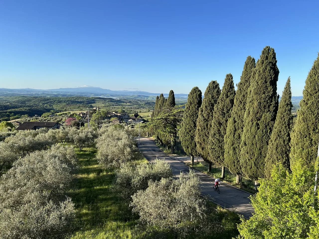 Charming Garden Villa in San Gusme, Tuscany, Italy photo 5