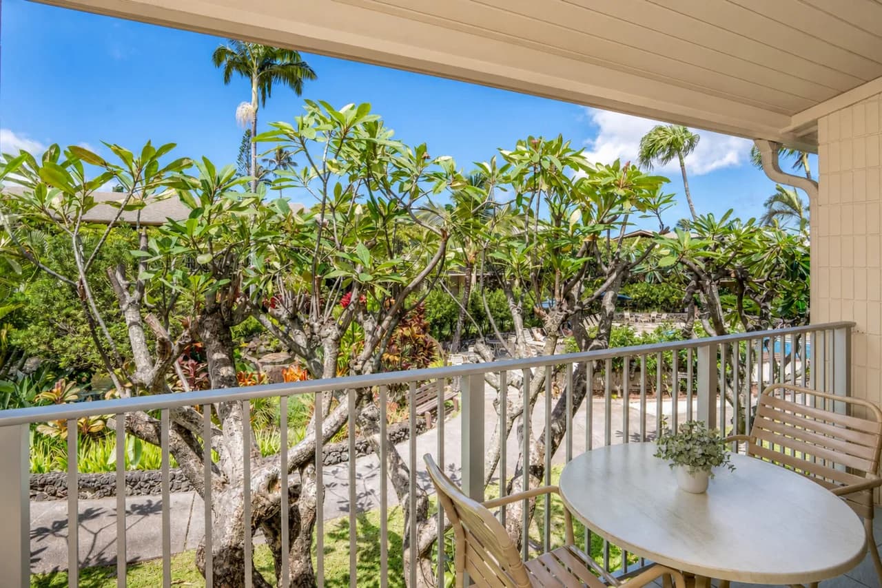 Napili Shores D-232 - Upper Level Renovated Studio at Koi Pond, Wi-Fi & Split AC photo 2
