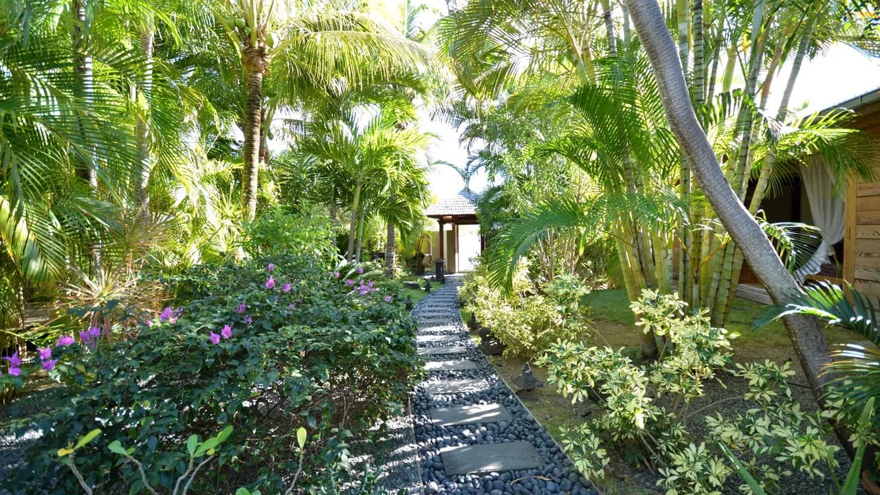 Heated Pool Estate in Anse des Cayes photo 5