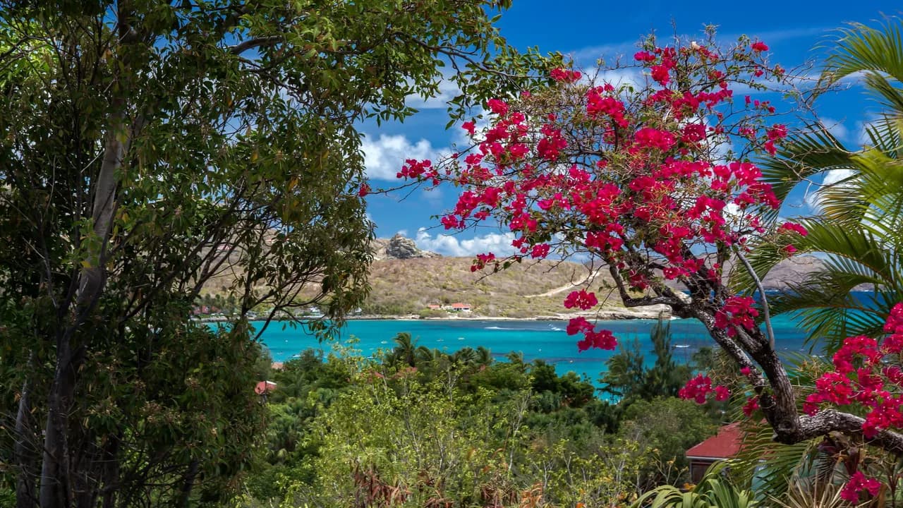 Single-Story Family Villa in St-Jean, St. Barthélemy photo 5