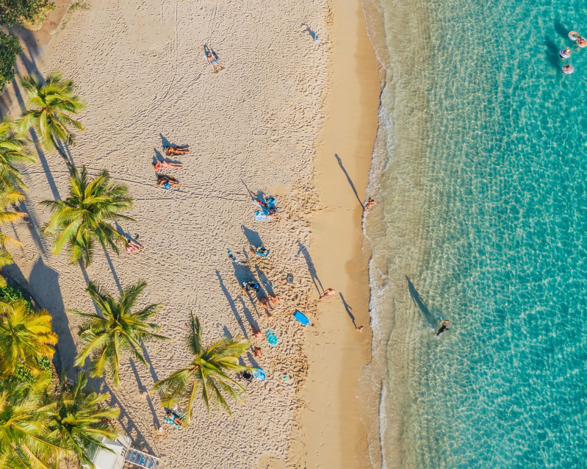 Breathtaking aerial view of a sandy beach with palm trees and turquoise water, perfect for a tropical escape.