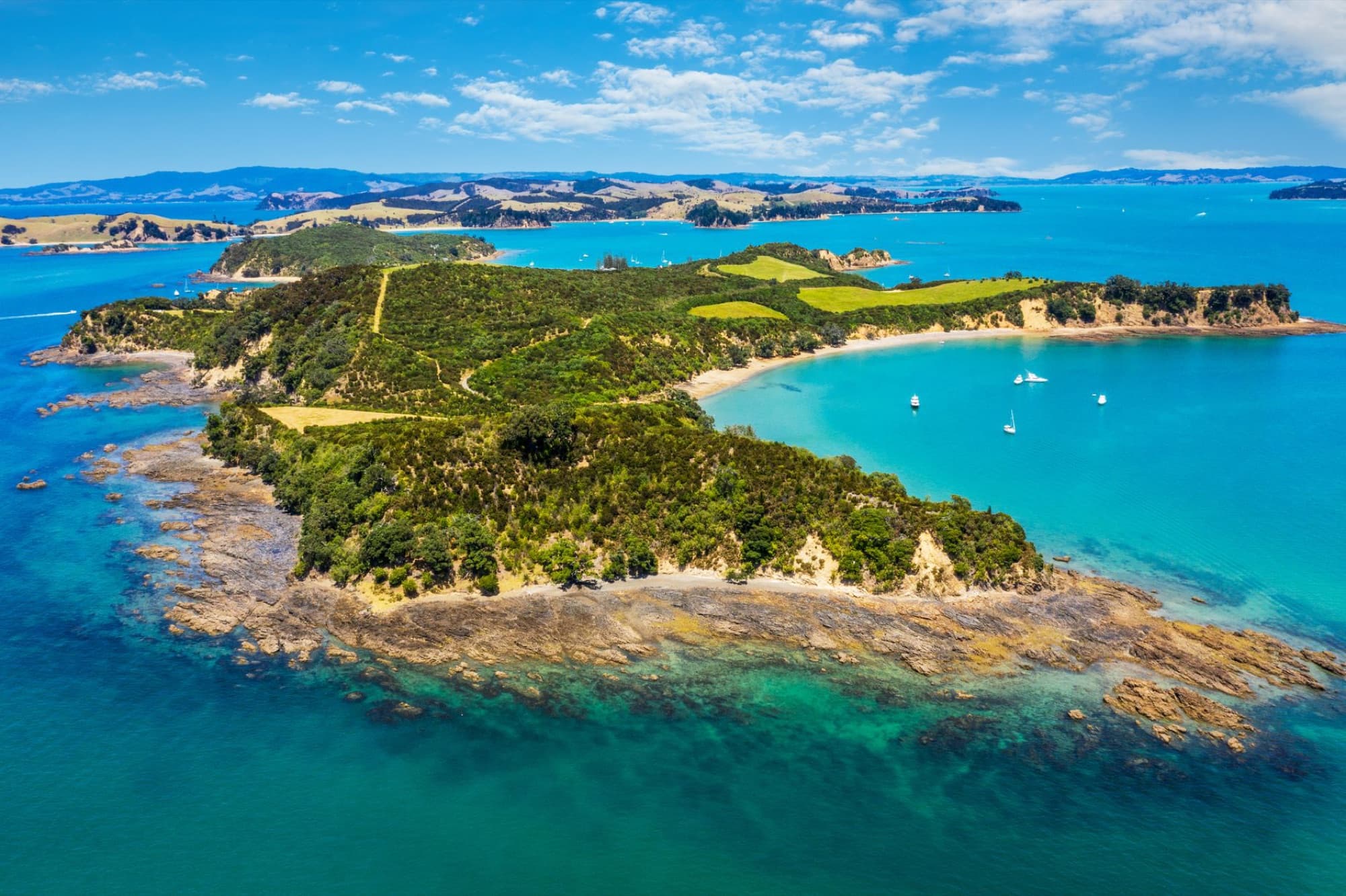 A beautiful aerial view of Rotoroa Island showcasing lush greenery and vibrant blue waters in Auckland, New Zealand.