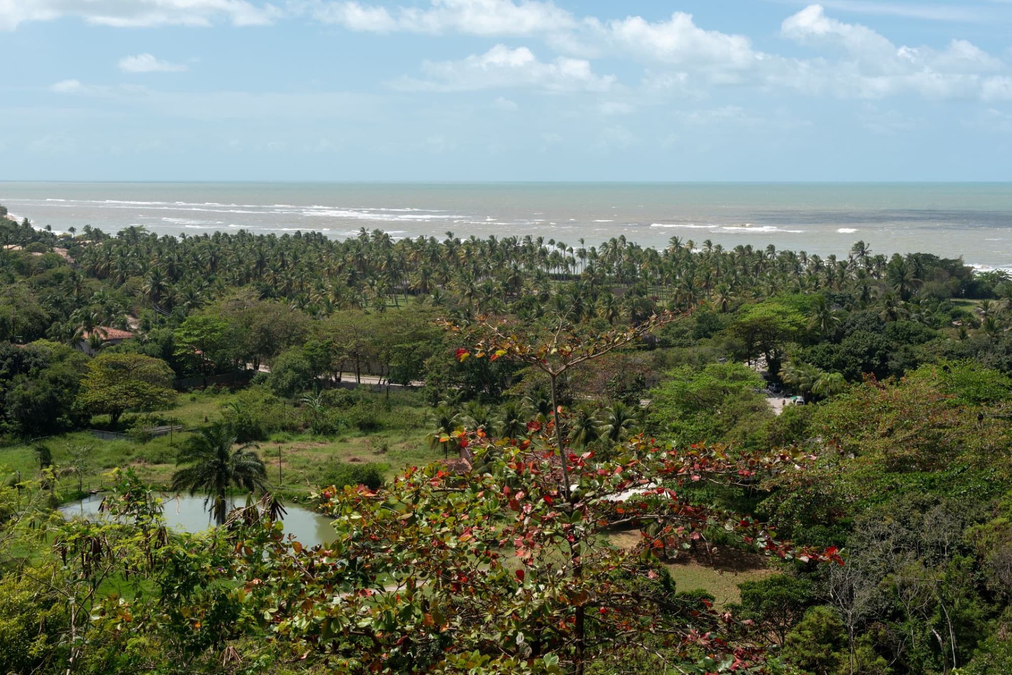 Scenic aerial view of Arraial d'Ajuda, Bahia, featuring lush forests and coastal beauty.